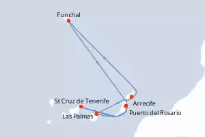 MSc Fantasia
