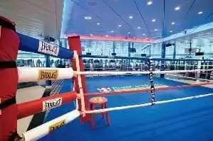 Ring de boxe grandeur nature 